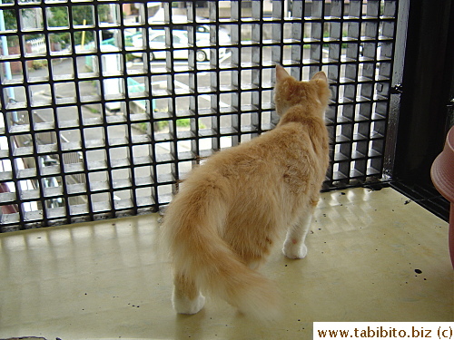 First time in the balcony