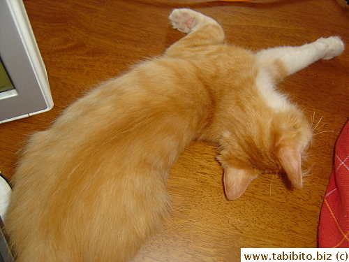 Another weird sleeping pose