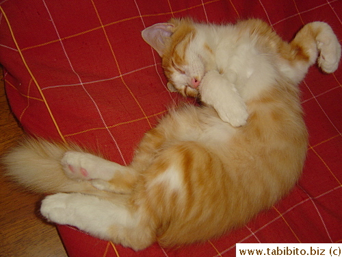 This one's not so weird