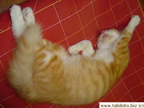 I like it when Efoo sleeps