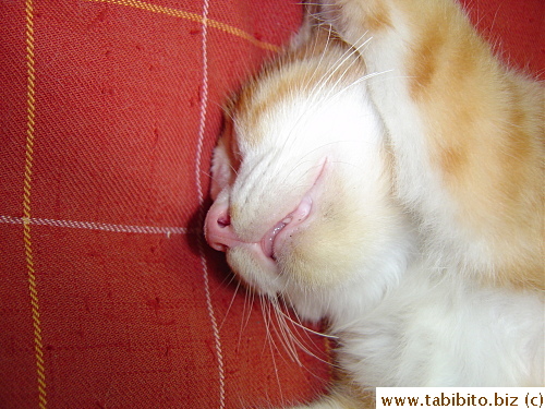 Cause then I can have some peace and quiet to myself