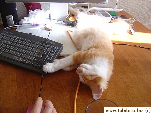 Good thing sometimes he'll just fall asleep quietly without being a pest