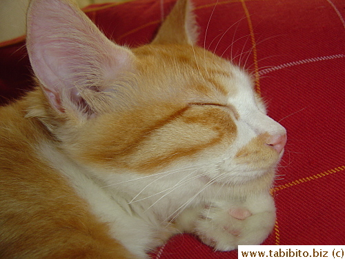 Why did I take this picture?? Moreover why am I posting it???