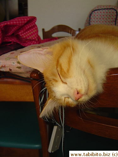 Yet another sleeping shot I'm afraid