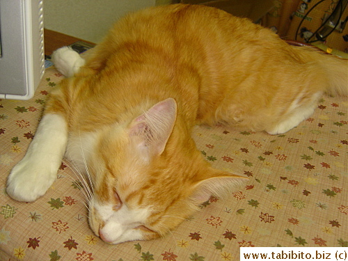 He hasn't slept twisted like this for a long time