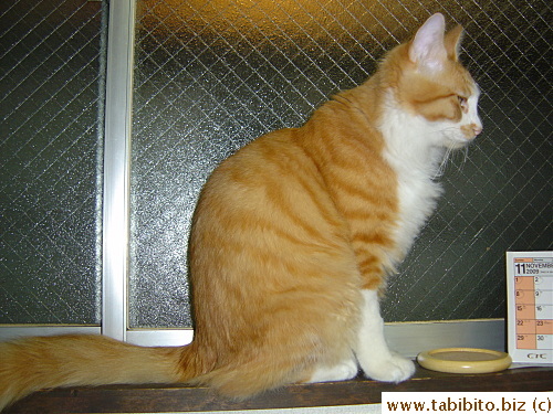 Efoo at 7 months old