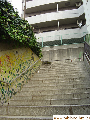 Walk up these stairs after crossing