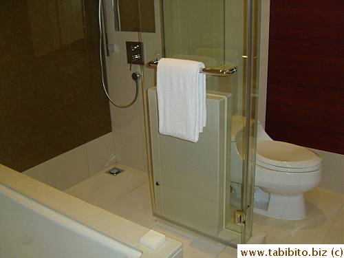 This photo doesn't show how open-spaced the bath area is