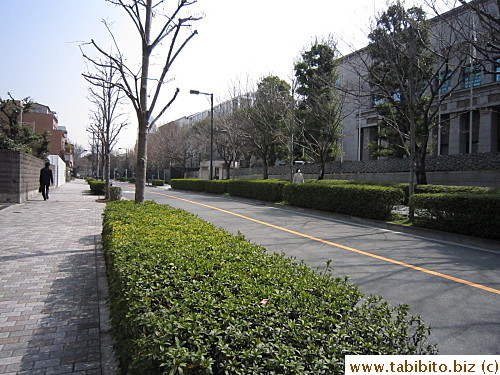 The street is wide and clean