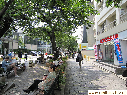 When we left the place, we decided to walk straight down the street back to the station instead of turning at the corner which will lead to this tree-lined street with lots of shops on either side