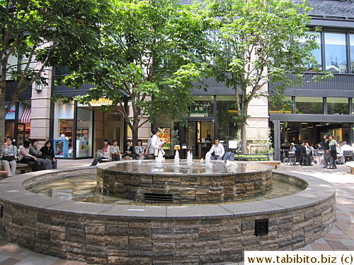 The fountain is the focal point in the garden