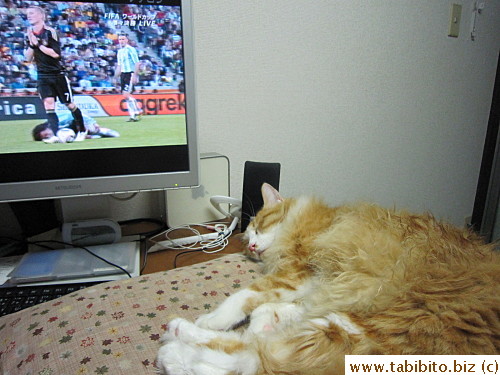 But then he fell asleep in the middle of some matches