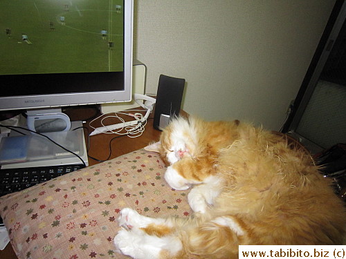 while the stupid vuvuzelas blasted in his ears