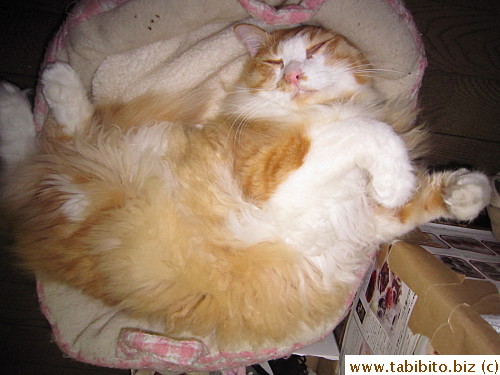 Back to sleep in no time