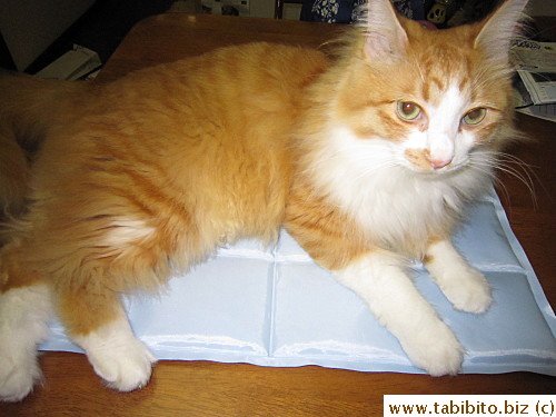 but I think it's only the novelty that interested him