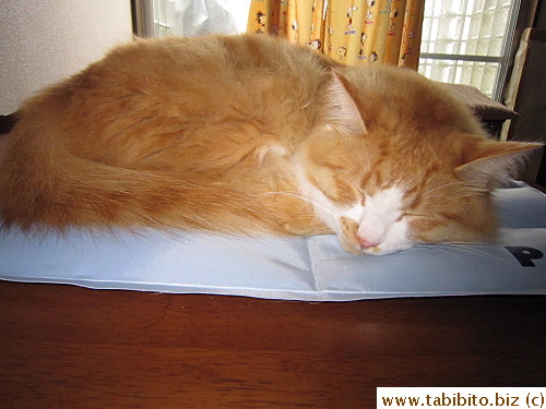 for two days (now the mat stays on my side of the bed to keep my legs cool at night!)