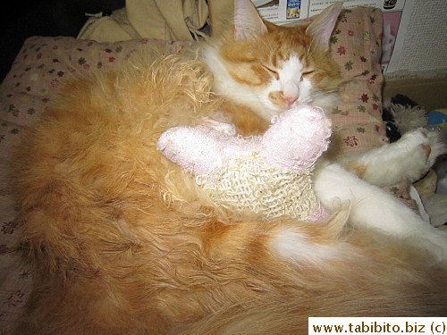 Efoo hooks it into his bed by himself