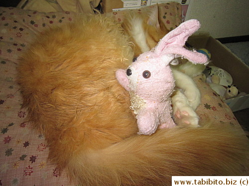 Honestly I have nothing to do with the doll getting into Efoo's bed