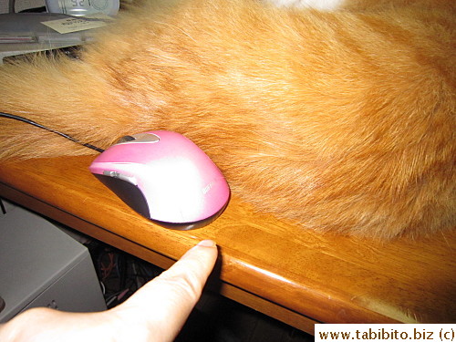 This is all the room I have to use the mouse!