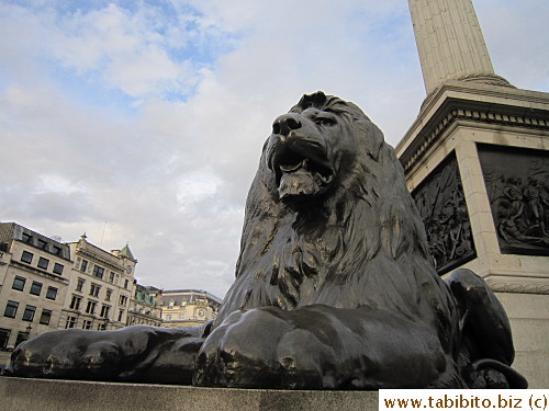 Beautiful lion statue in Trafalgar Square 