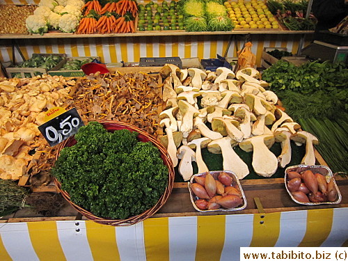 Interesting mushrooms