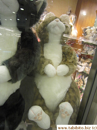 Saw a stuffed animal that reminds me of Efoo