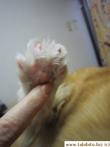 Efoo has ticklish feet!