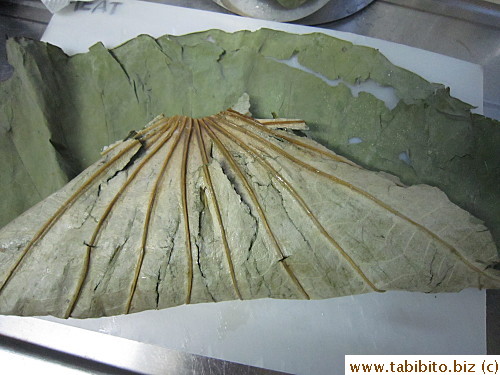 do another leaf if there are lots of holes and tear in the first one 