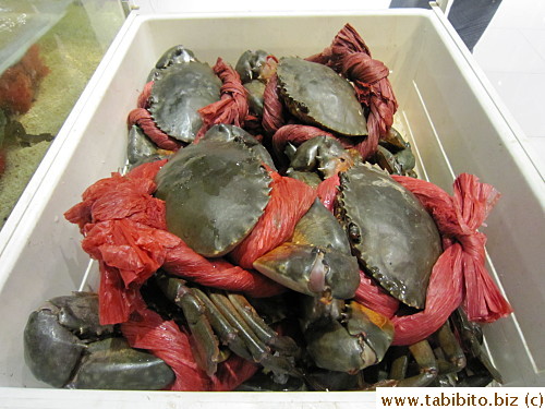 Mudcrabs by the entrance