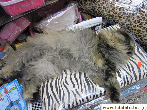 Seeing it made me miss Efoo