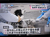 headline