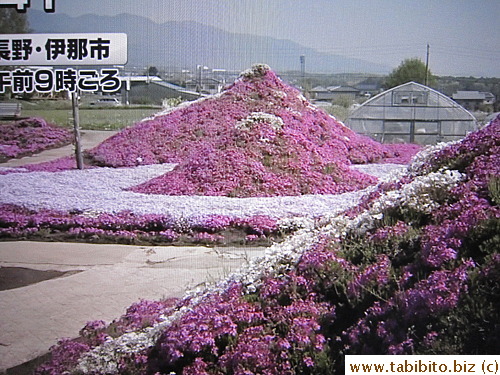 Ahhhh, I regret not visiting it while we were in Kawaguchiko...SIGH...