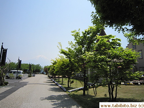 Maple tree-lined path by the complex leads the the prefect spot to 