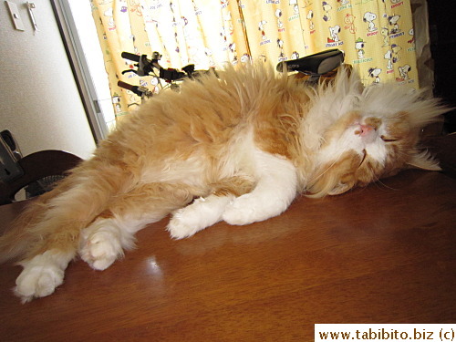 Dreaming?