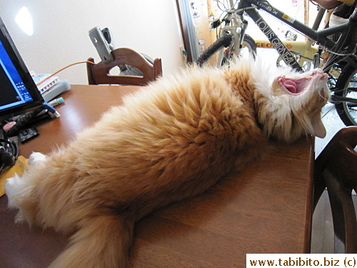 Please refrain from hogging the table, Efoo