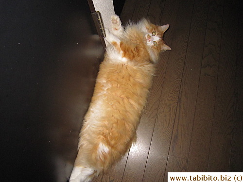 In a Chinese saying, 