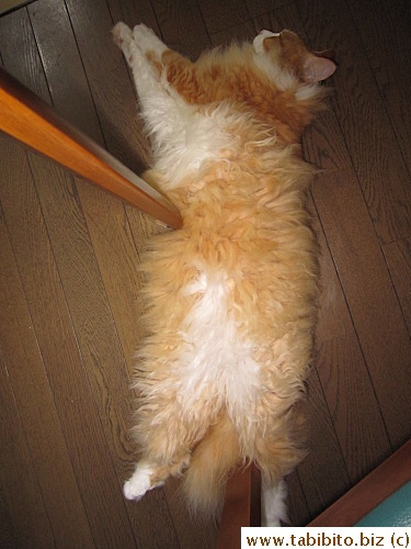 From another angle, it doesn't look too weird