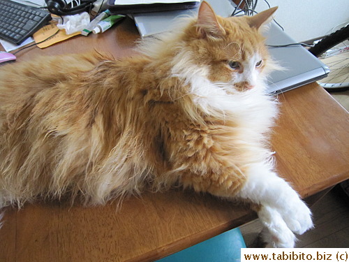 Efoo just gave himself a spit bath