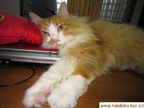 You're looking pretty relaxed, Efoo