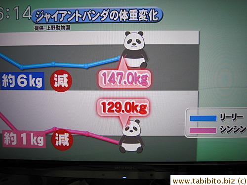 Ri Ri weighs 147kg and Shin Shin 129kg