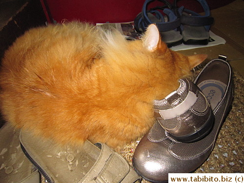 Efoo's new sleeping spot