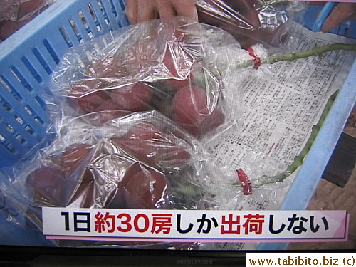 Only about 30 bunches are harvested daily while in season