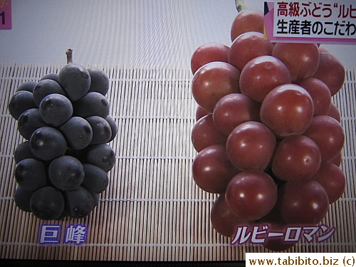 Compare them to Kyohou grapes 