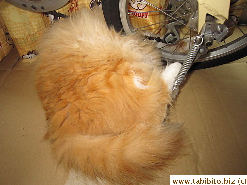 what's with his feet?