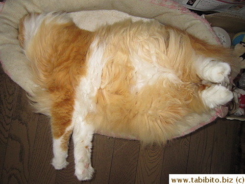 Must you sleep like this all the time?