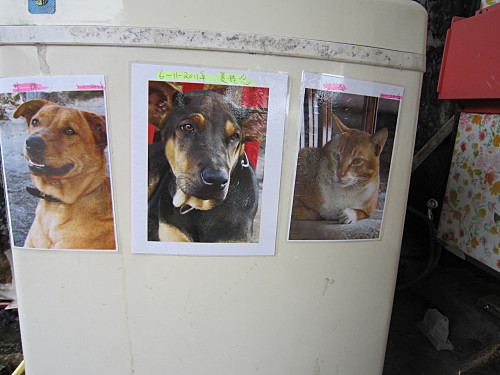 Their names and photos on the washing machine