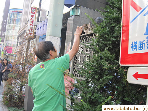 the owner to take them down