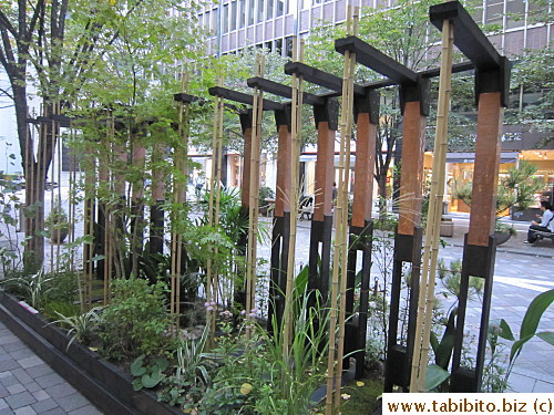 Bamboo garden