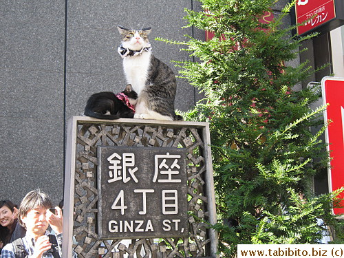 on the same Ginza sign!