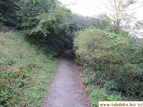 The mini trail starts off tame then gets steep with lots of steps